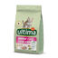 Affinity Ultima Junior Pollo pienso para gatos, , large indicador imagen numero 1