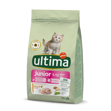 Affinity Ultima Junior Pollo pienso para gatos