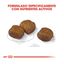 Royal Canin Dental Care Maxi pienso para perros, , large indicador imagen numero 3