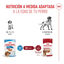 140 g Royal Canin Medium Puppy Sobres, , large indicador imagen numero 5