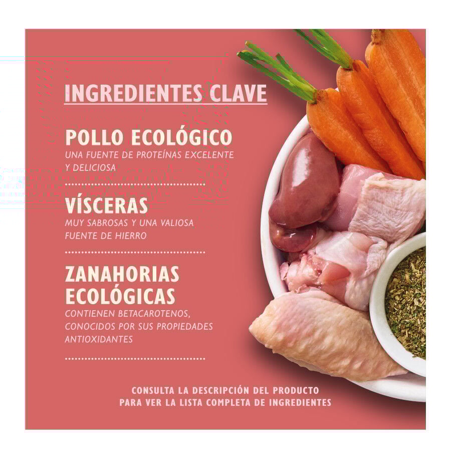 150 g Lily's Kitchen Puppy Organic Pollo tarrina, , large Imagen numero 2