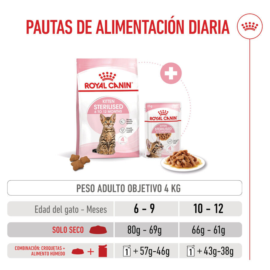 Royal Canin Kitten Sterilised pienso para gatos thumbnail