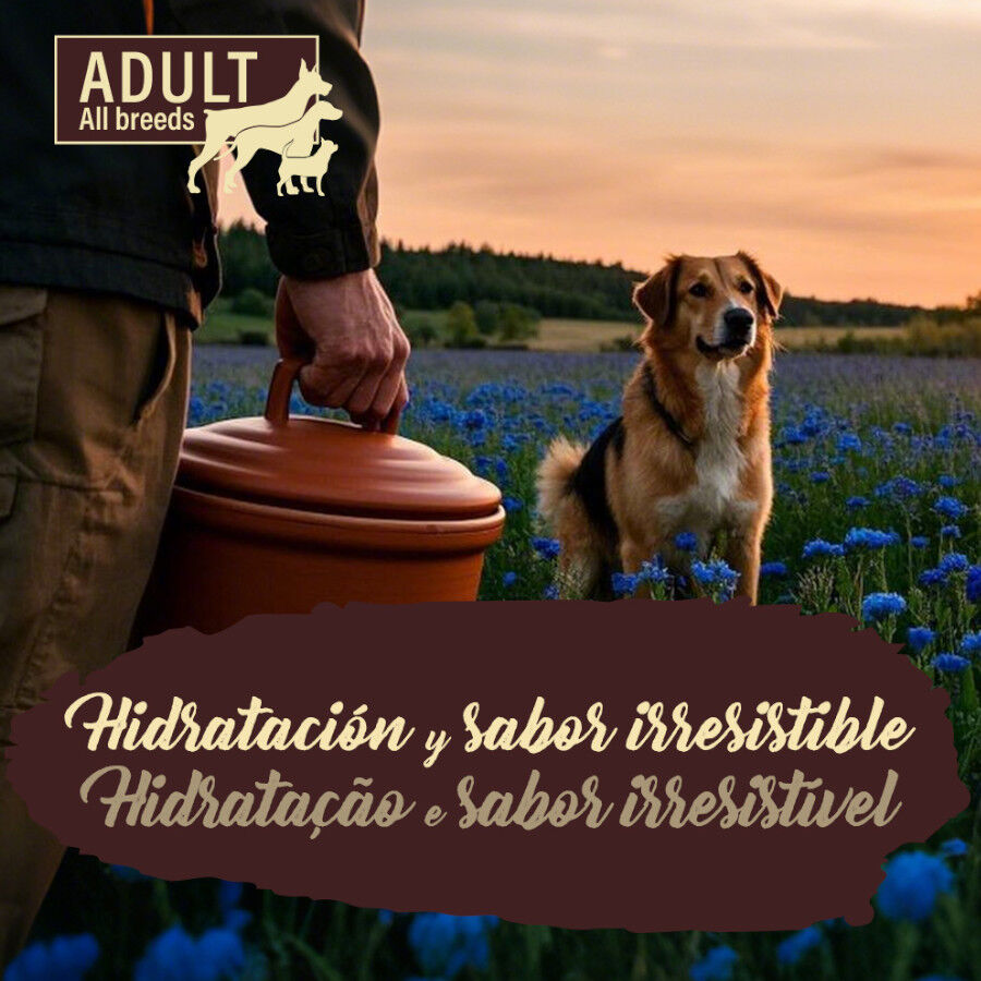 True Origins Pure Gently Coocked Salmón y Zanahorias sobre para perros thumbnail