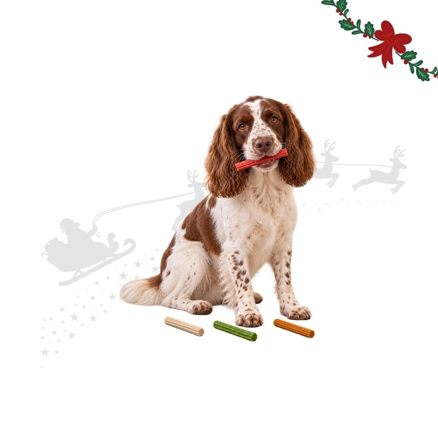 1 pack x 12 uds. Wonder Christmas Palitos Inflados Snacks para perros, , large Imagen numero 1