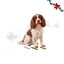 1 pack x 12 uds. Wonder Christmas Palitos Inflados Snacks para perros, , large indicador imagen numero 1