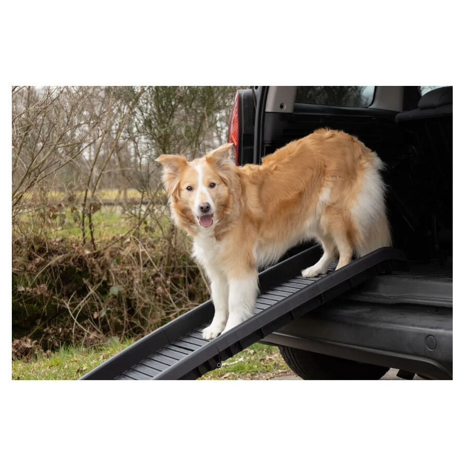 Flamingo rampa Zenna para perros, , large Imagen numero 3