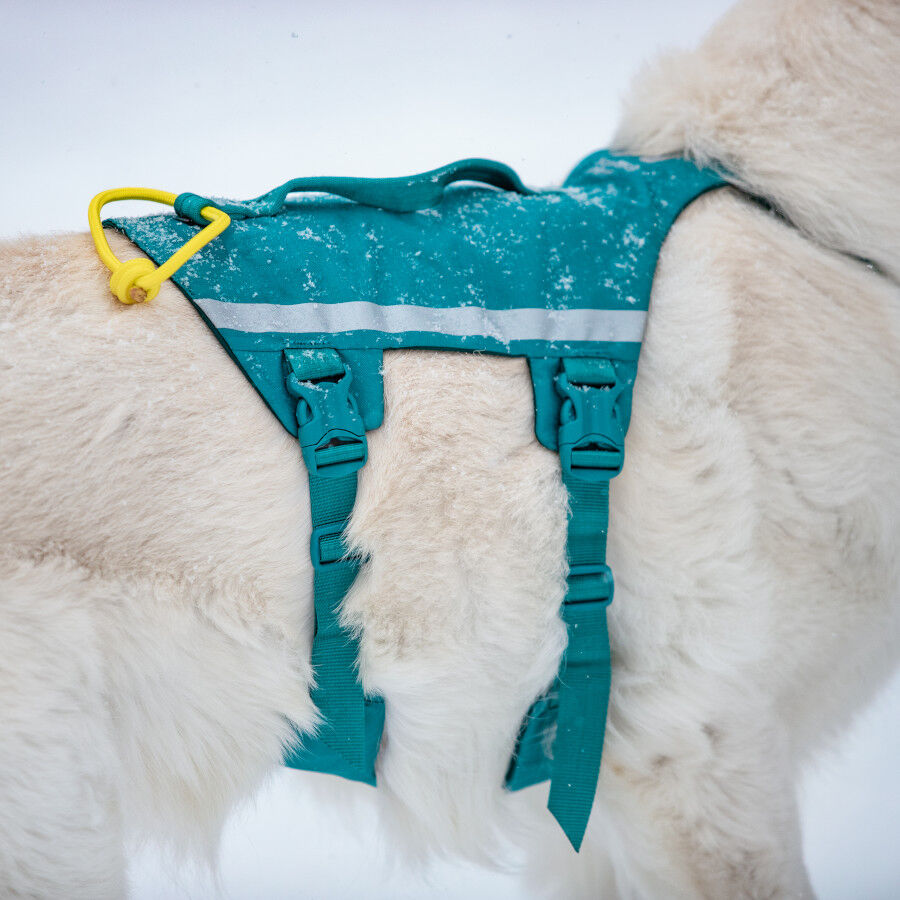 Non-stop Dogwear Arn&eacute;s Largo Azul y Verde para perros, , large Imagen numero 3