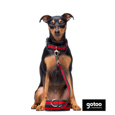 Gotoo Correa reflectante de malla roja para perro