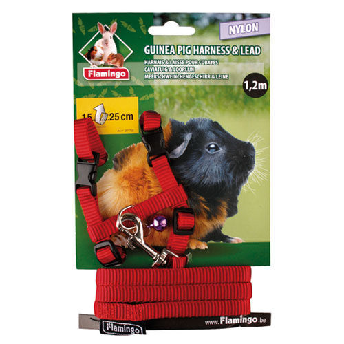 Flamingo arn&eacute;s con correa para cobayas Imagen numero 1