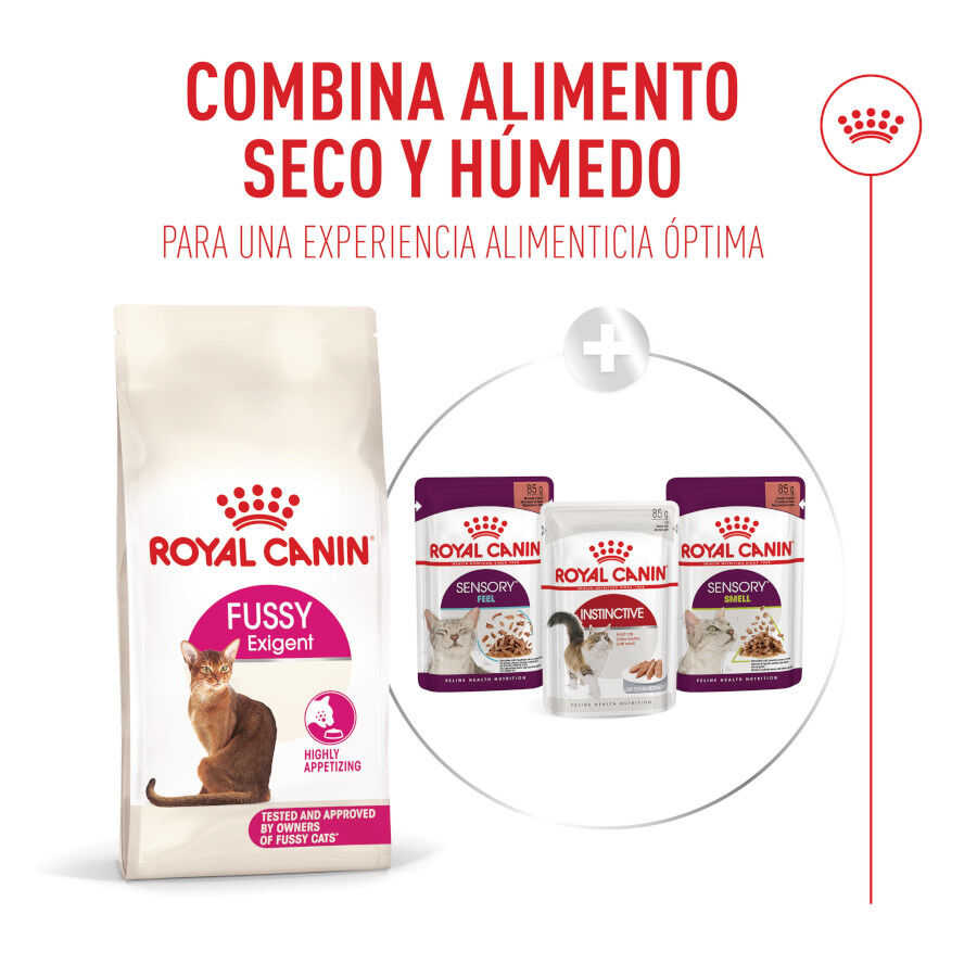 Royal Canin Fussy Exigent Pienso para gatos thumbnail