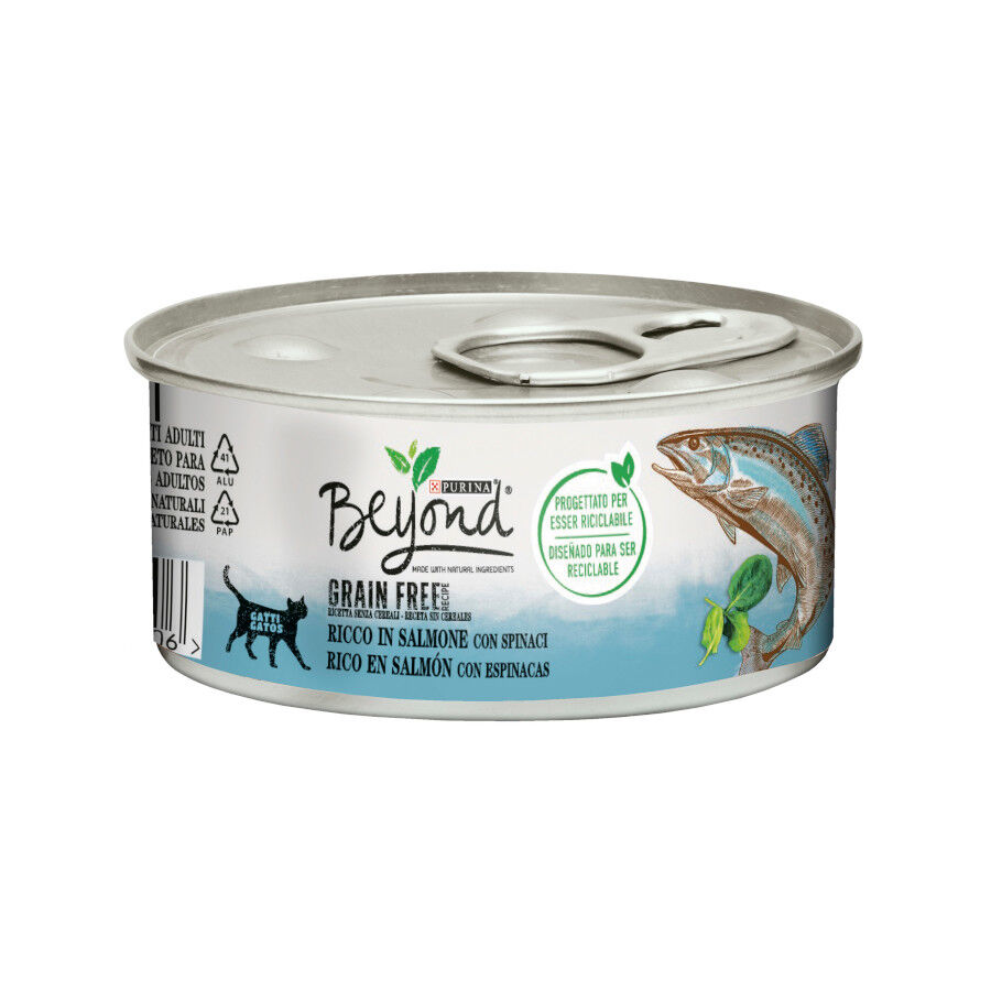 85 g Beyond Grain Free Salm&oacute;n lata paras gatos, , large Imagen numero 1