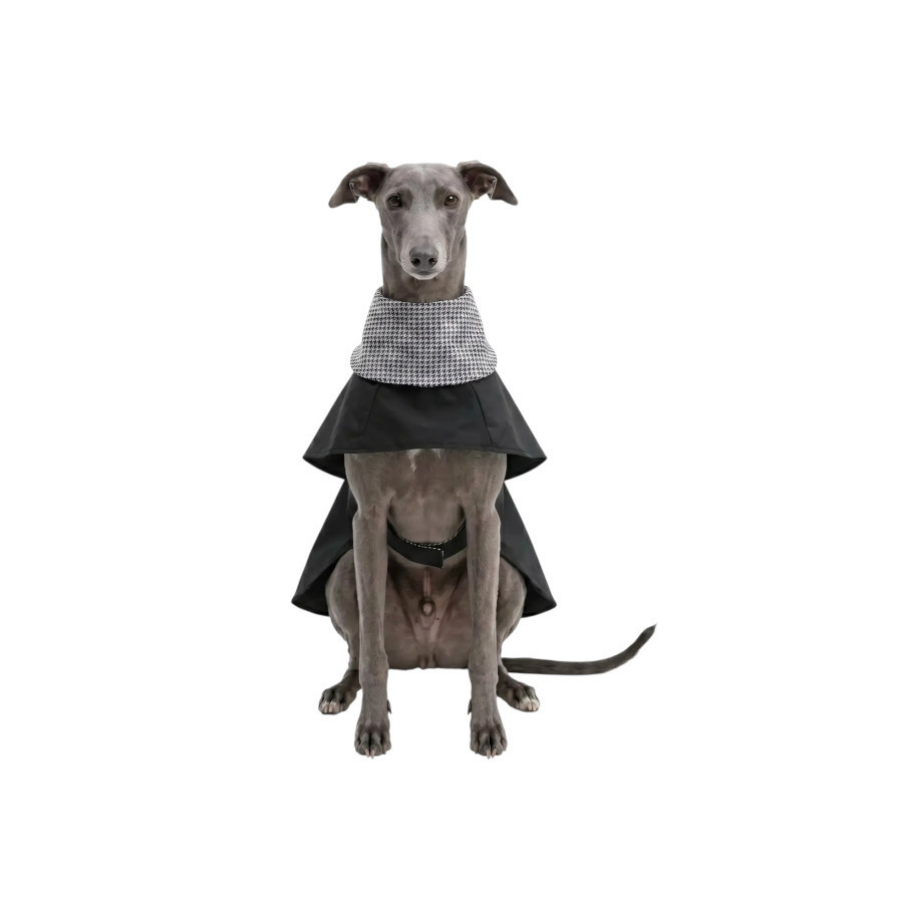 Gotoo Abrigo Gabardina para galgos, , large Imagen numero 7
