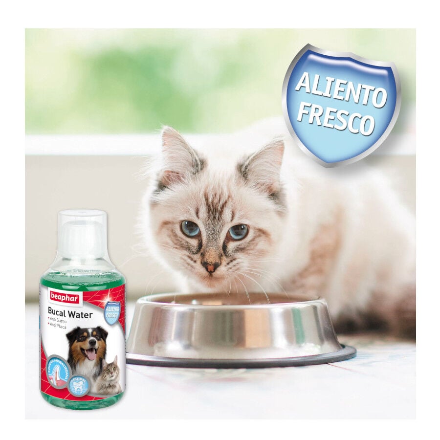 Beaphar Enjuague Bucal para perros y gatos thumbnail