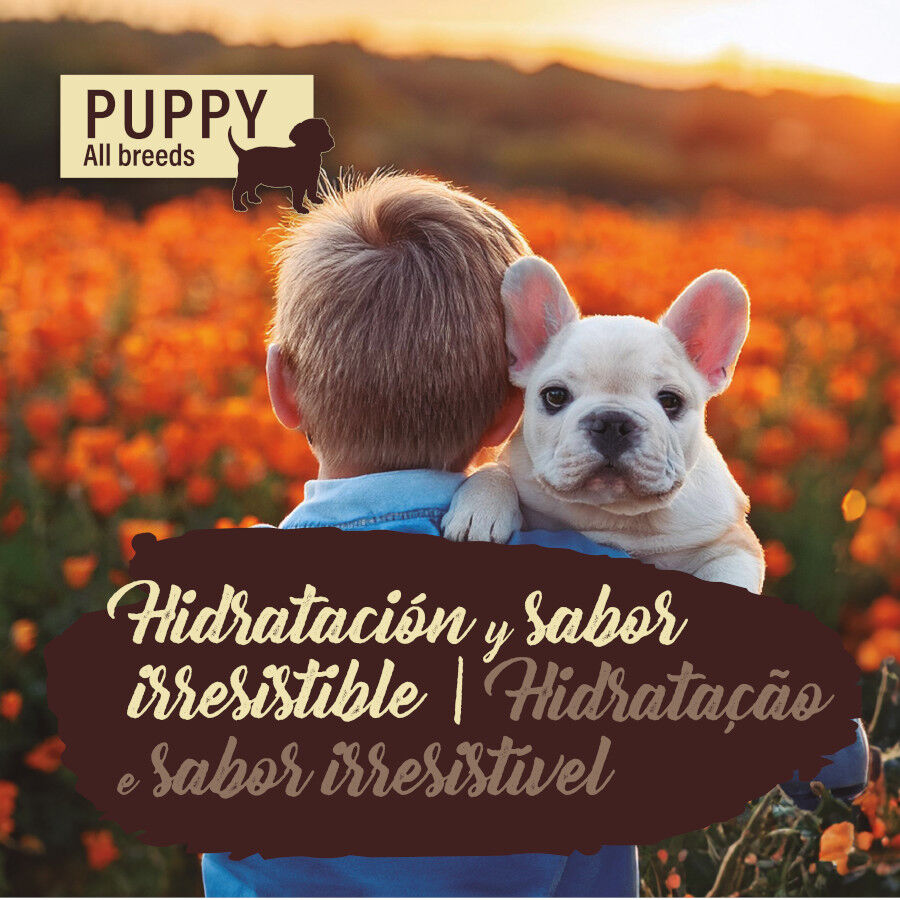 True Origins Pure Pollo lata para cachorros thumbnail