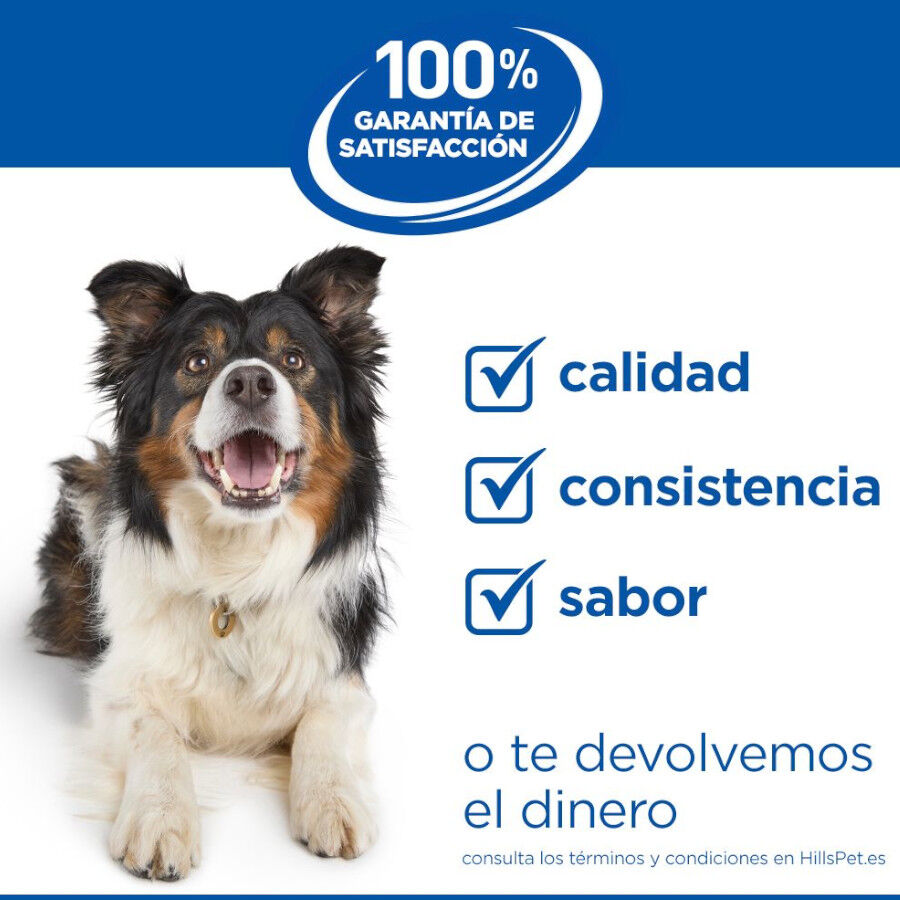 1.5 kg Hill's Science Plan Perfect Digestion Puppy Small y Mini Pollo y Arroz pienso para cachorros, , large Imagen numero 7