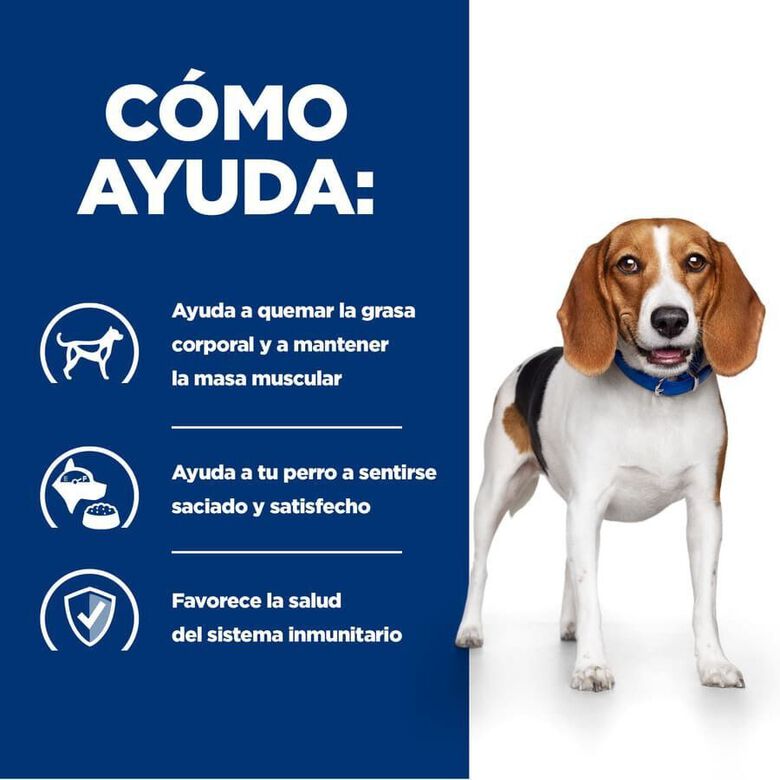 Hill&#039;s Prescription Diet Weight Loss r/d Pollo pienso para perros thumbnail