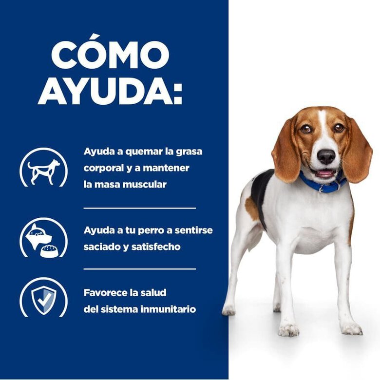 10 kg Hill's Prescription Diet Weight Loss r/d Pollo pienso para perros,  Imagen numero 3 10 kg Hill's Prescription Diet Weight Loss r/d Pollo pienso para perros, , large Imagen numero 3