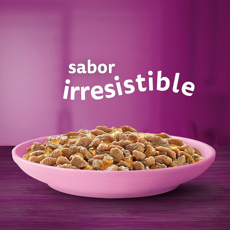 4 sobres x 85 g Whiskas Pure Delight Junior Selección Aves Gelatina en Bolsita para gatos,  Imagen numero 2 4 sobres x 85 g Whiskas Pure Delight Junior Selección Aves Gelatina en Bolsita para gatos, , large Imagen numero 2