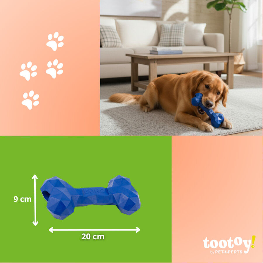 Tootoy! Hueso Portagolosinas de Goma Azul para perros, , large Imagen numero 4