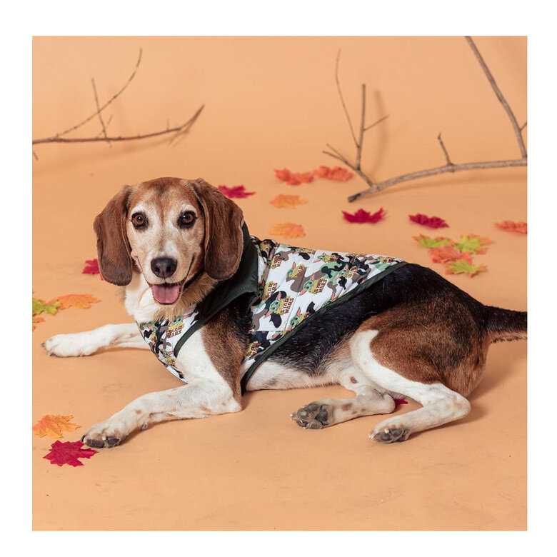 Disney Star Wars The Mandalorian Abrigo Acolchado para perros,  Imagen numero 4 Disney Star Wars The Mandalorian Abrigo Acolchado para perros, , large Imagen numero 4