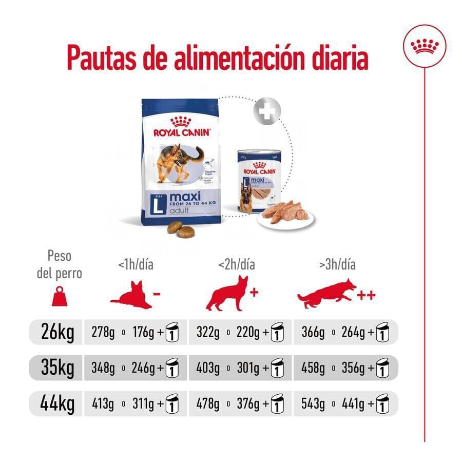 Royal Canin Maxi Adult pienso para perros thumbnail