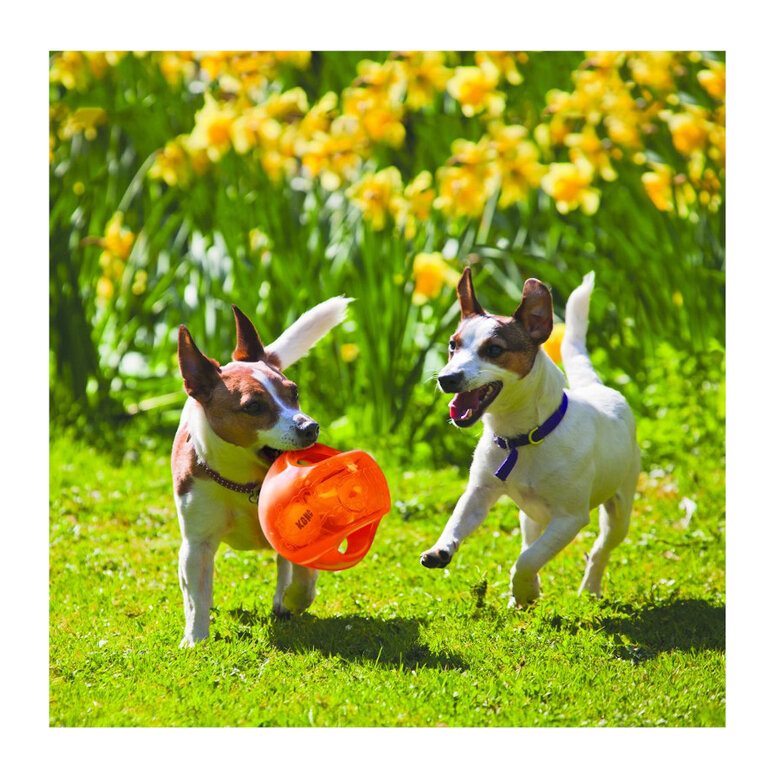 Kong Jumbler pelota en colores surtidos para perros, , large image number null