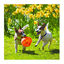 Kong Jumbler pelota en colores surtidos para perros, , large indicador imagen numero 3