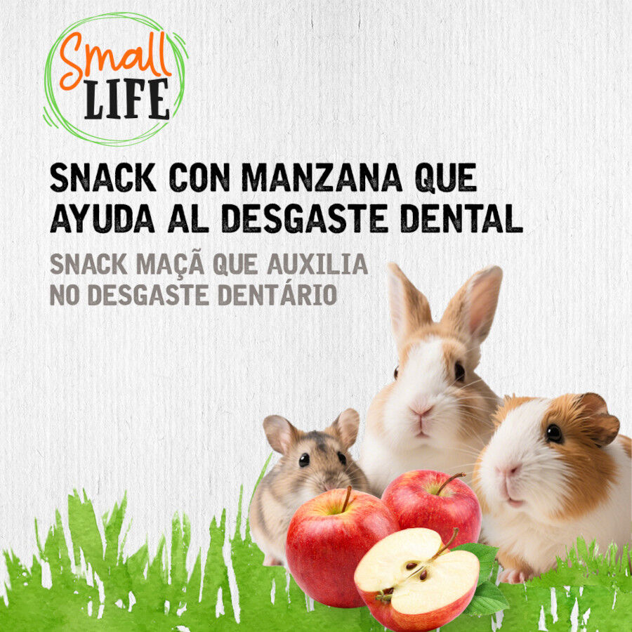 100 g Small Life Rollo de Heno con Manzana Snack para roedores y conejos, , large Imagen numero 2