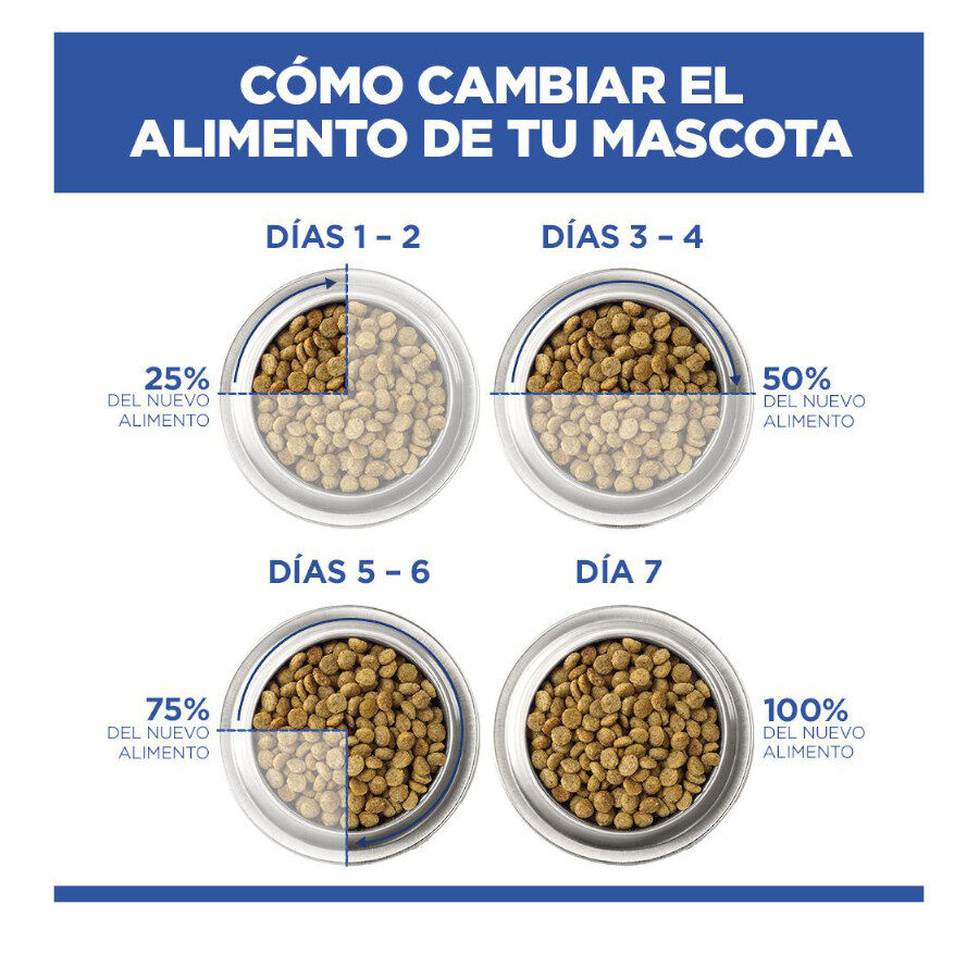 Hill&#039;s Science Plan Hipoalergénico Large Salmón pienso para perros thumbnail