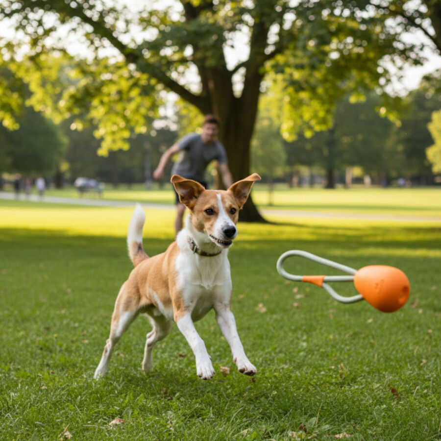 BECO Mordedor de Goma con Cuerda Naranja para perros, , large Imagen numero 1