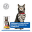 1.5 kg Hill's Urinary Pollo pienso para gatos, , large indicador imagen numero 6