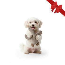 Wonder Christmas Peluche Navideño de Pato para perros,  Wonder Christmas Peluche Navideño de Pato para perros