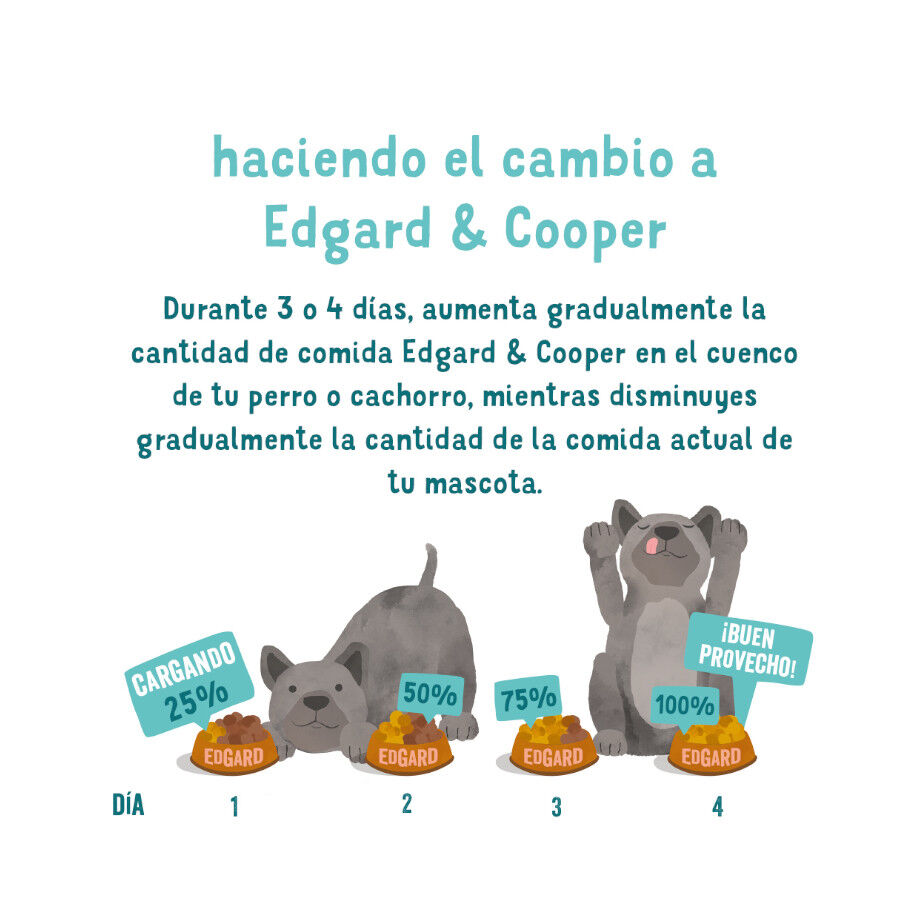 Edgard &amp; Cooper Salmón y Pavo tarrina para perros thumbnail