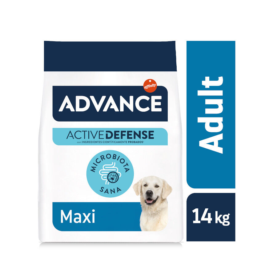 Advance Active Defense Maxi Adult pollo y arroz pienso para perros thumbnail