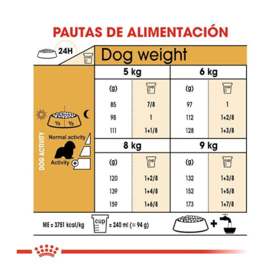 Royal Canin Adult Cavalier King Charles pienso para perros thumbnail