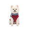 Gotoo Jersey Polar Azul para perros, , large indicador imagen numero 7