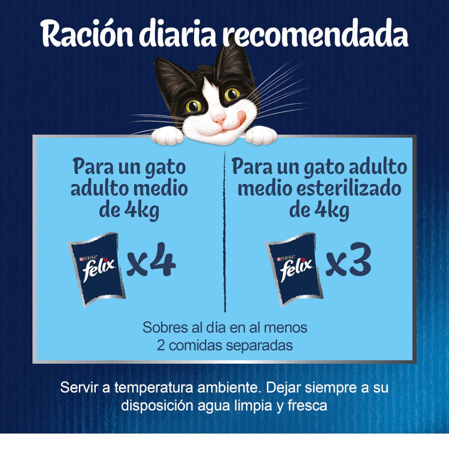 12 sobres x 85 g Felix Fantastic Selecciones Favoritas sobres en gelatina , , large Imagen numero 3