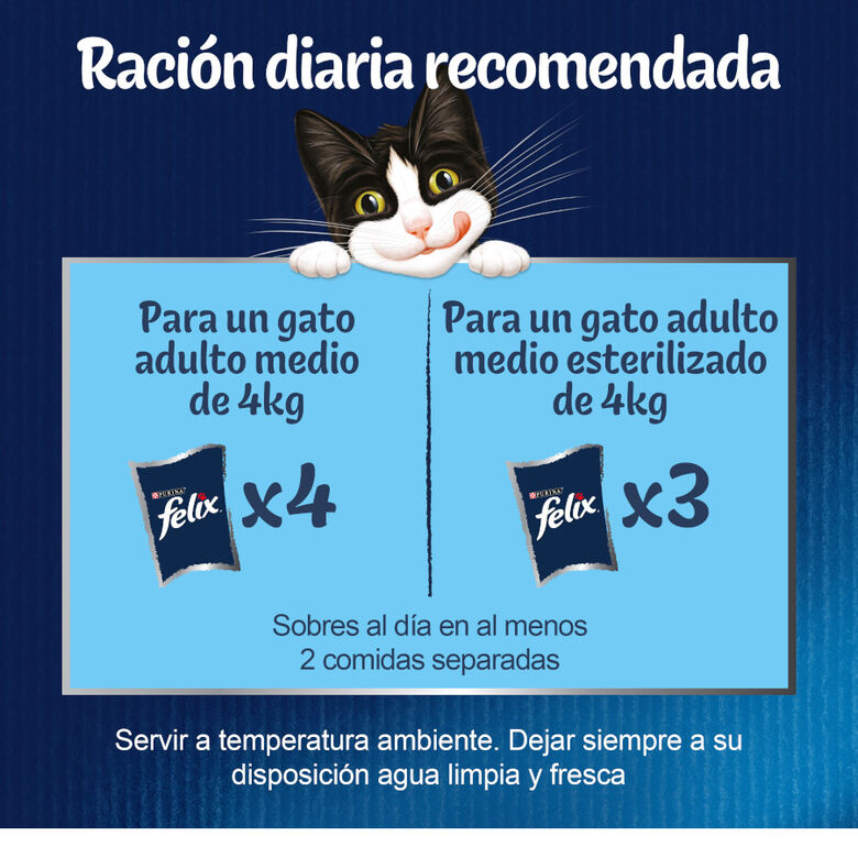 Felix Fantastic Selecciones Favoritas sobres en gelatina thumbnail