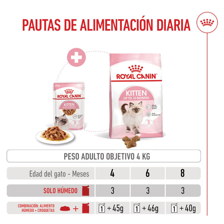 Royal Canin Kitten sobre en salsa para gatos thumbnail