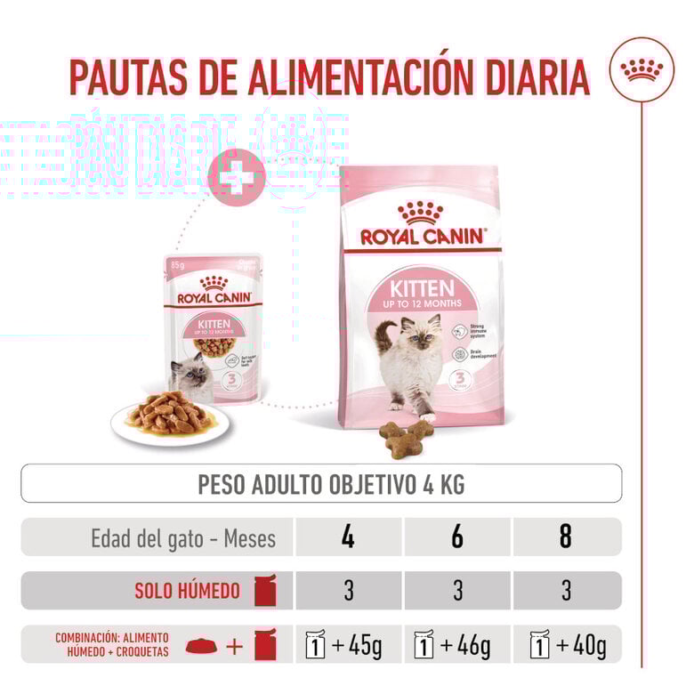 85 g Royal Canin Kitten sobre en salsa para gatos,  Imagen numero 7 85 g Royal Canin Kitten sobre en salsa para gatos, , large Imagen numero 7