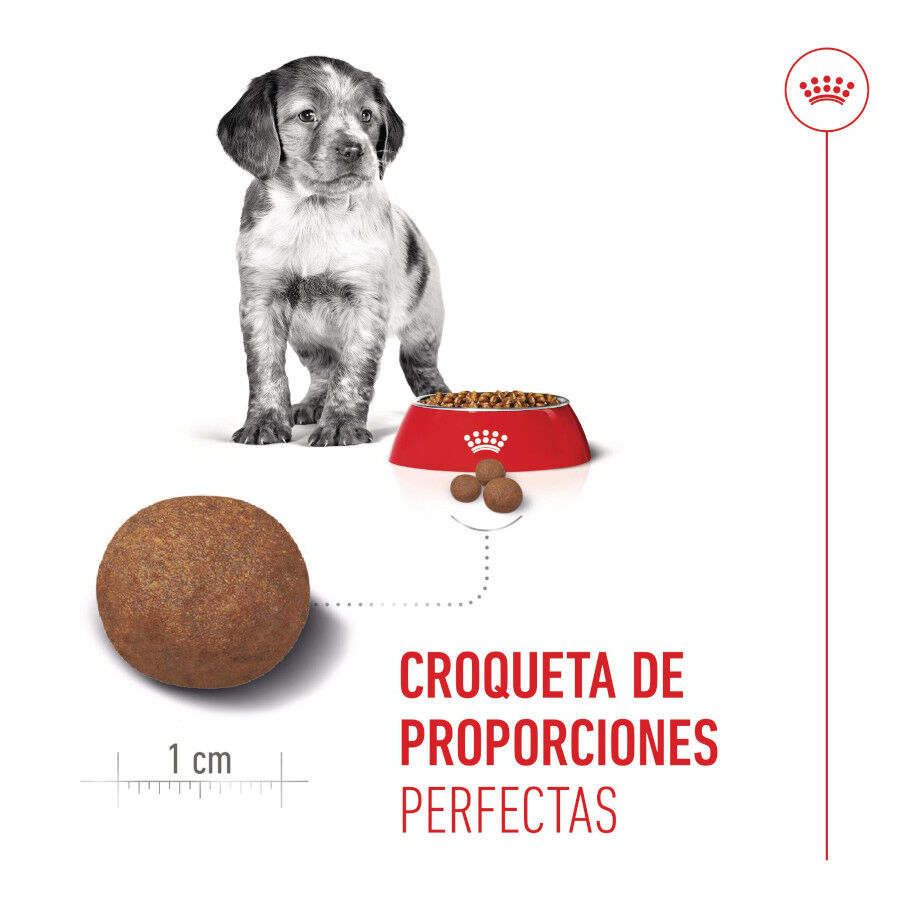 Royal Canin Puppy Medium pienso para cachorros thumbnail
