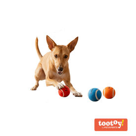 Tootoy! Pack de Pelotas de Tenis de Colores para perros