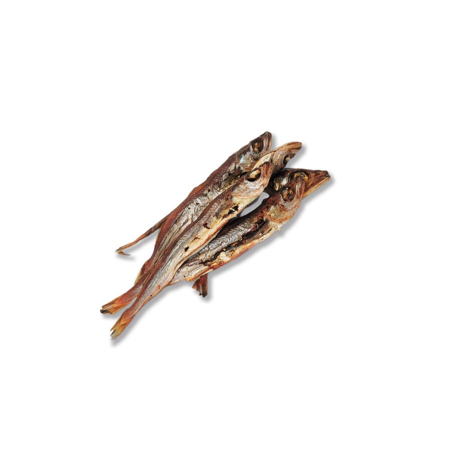 70 g. True Origins Lirio Snack para perros, , large Imagen numero 3