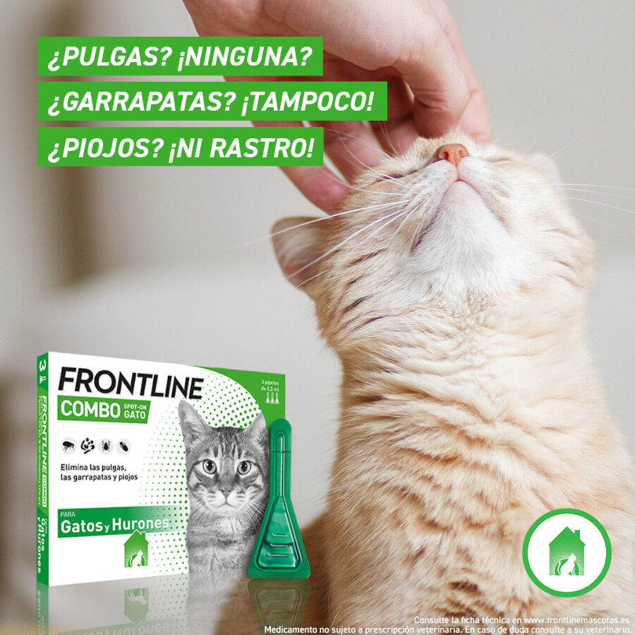 Frontline Combo Pipetas Antiparasitarias para gatos y hurones thumbnail