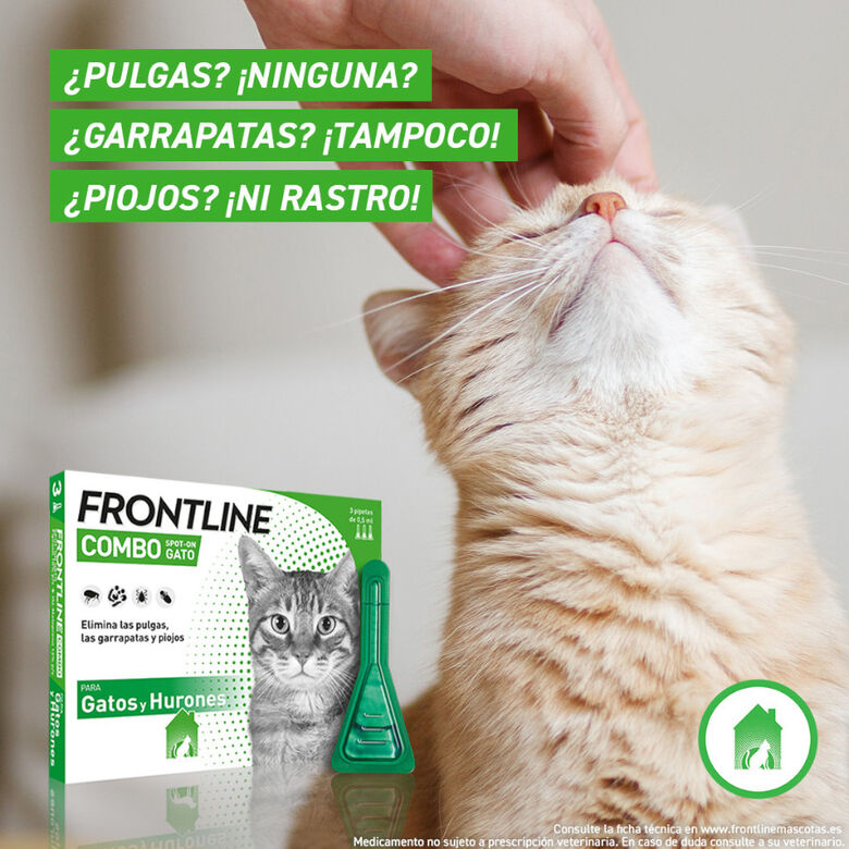 Frontline Combo Pipetas Antiparasitarias para gatos y hurones thumbnail