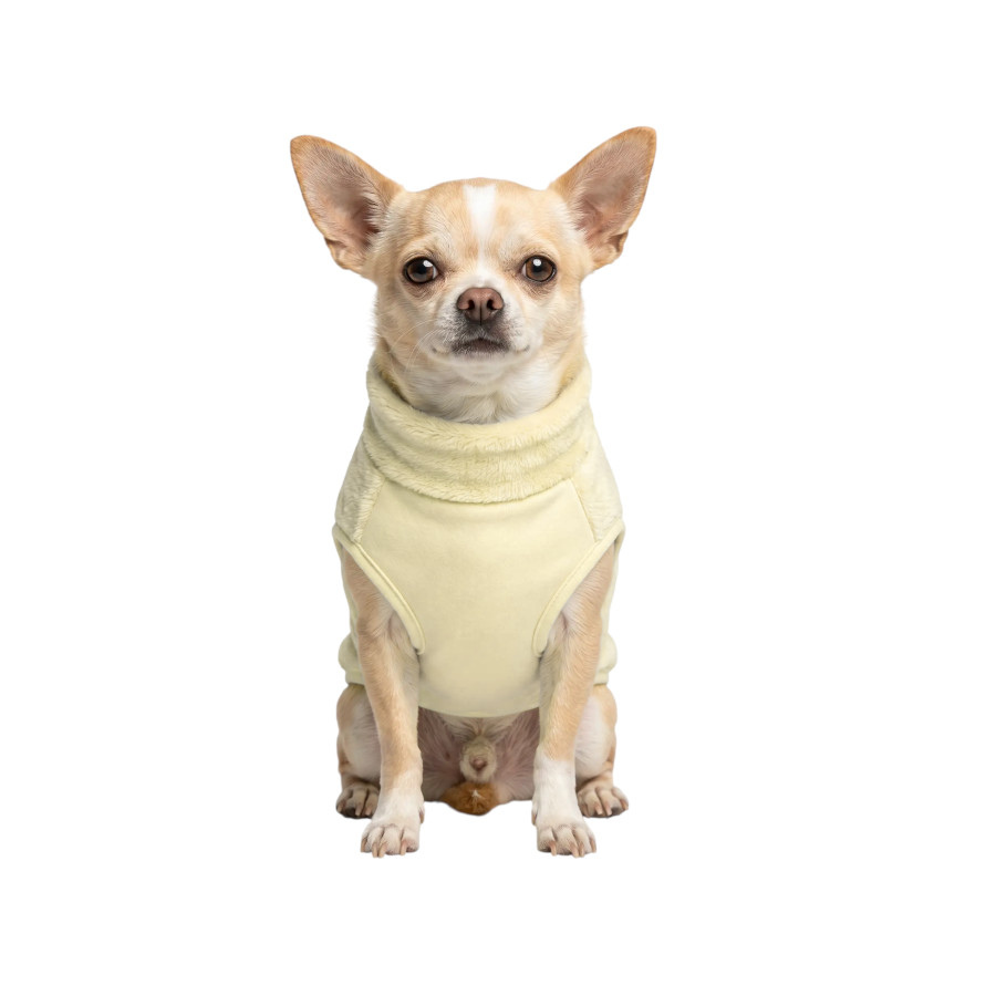 Gotoo Jersey Polar Amarillo para perros, , large Imagen numero 7