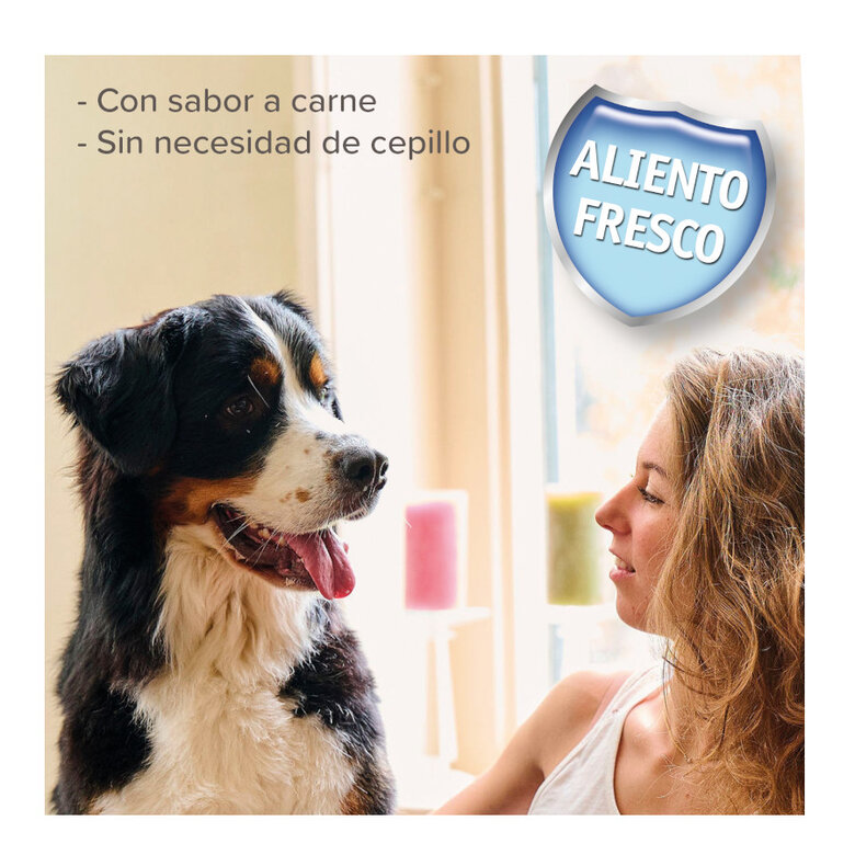 Beaphar Gel Dental para perros y gatos , , large image number null