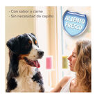 Beaphar Gel Dental para perros y gatos , , large image number null