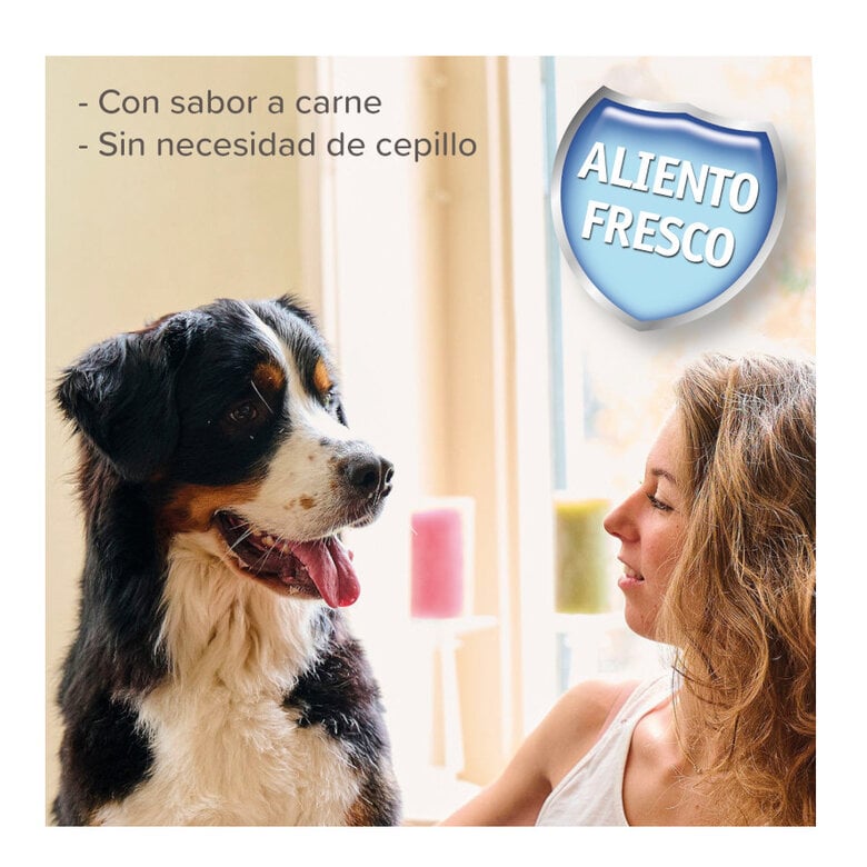 Beaphar Gel Dental para perros y gatos,  Imagen numero 5 Beaphar Gel Dental para perros y gatos, , large Imagen numero 5