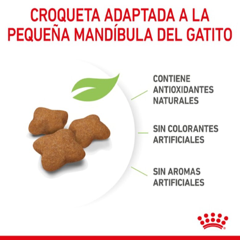 Royal Canin Kitten Sterilised pienso para gatos, , large image number null